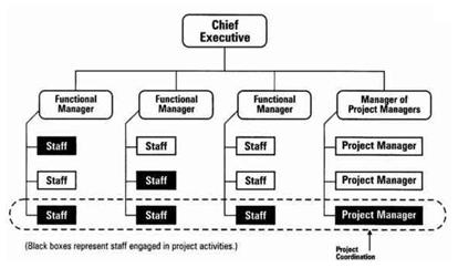 Matrix form organizational structure